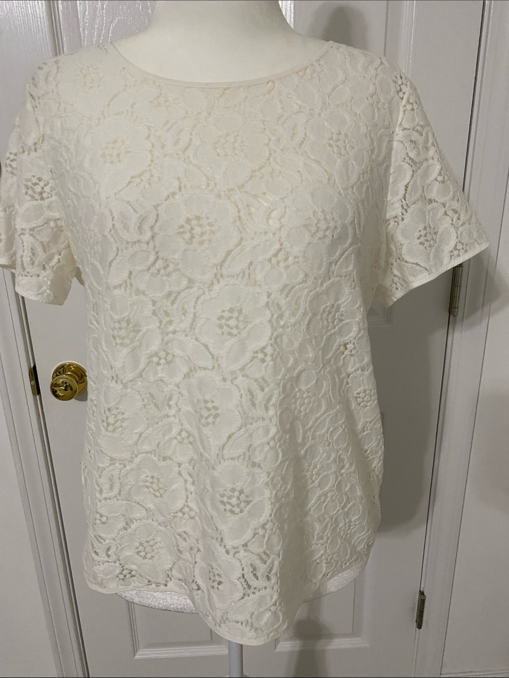 LOFT Cream Lace Short Sleeve Blouse